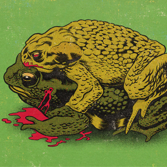 Vampire Toad